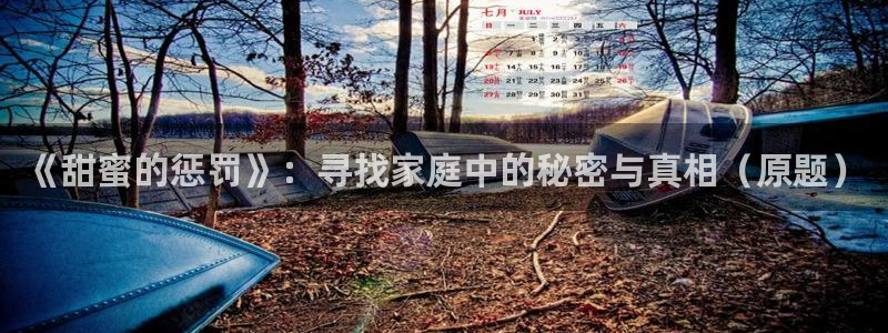 囧次元官方正版：《甜蜜的惩罚》：寻找家庭中的秘密与真相（原题）