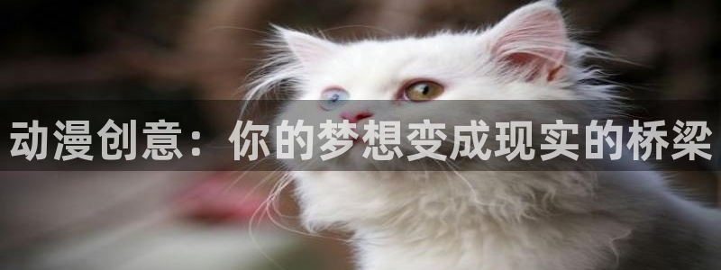 囧次元动漫官方正版：动漫创意：你的梦想变成现实的桥梁