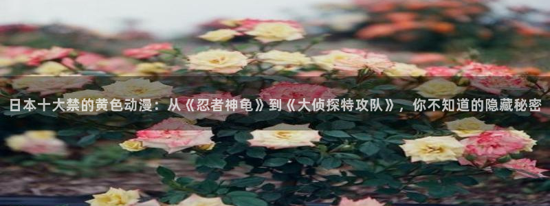 囧次元在线看：日本十大禁的黄色动漫：从《忍者神龟》到《大侦探特攻队》，你不知道的隐藏秘密